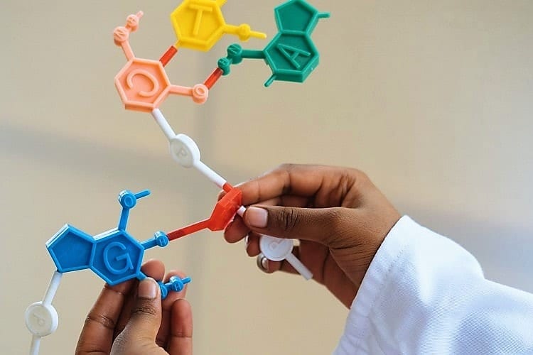 16 Stem Crafts For Kids Who Like To Play Smart